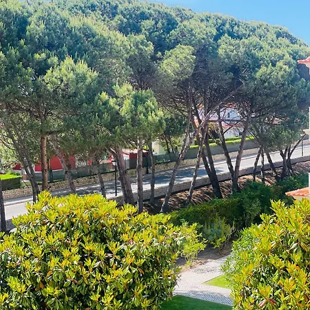 Lejlighed D'el Rey Pool & Golf House